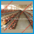 Poultry Farming Equipment